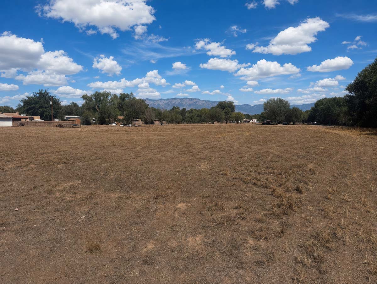 Dry, barren field with sparse grass, distant line of trees and small houses under a blue sky with fluffy clouds and mountains on the horizon.